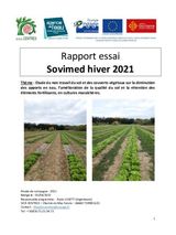 salades et choux, réduction du travail du sol hiver 2021-2022
