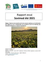 butternut et potimarron réduction du travail du sol 2021