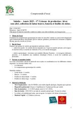 Rapport variétés salades abris hiver 2025