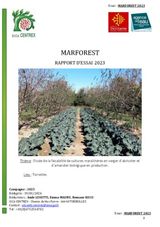 RAPPORT VERGER MARAICHER MARFOREST 2023
