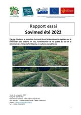 Réduction travail sol pastèque butternut été 2022