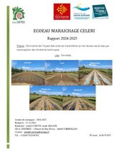 essai goutte à goutte et paillages 2024 céleri