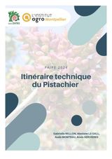 ITINERAIRE TECHNIQUE DU PISTACHIER